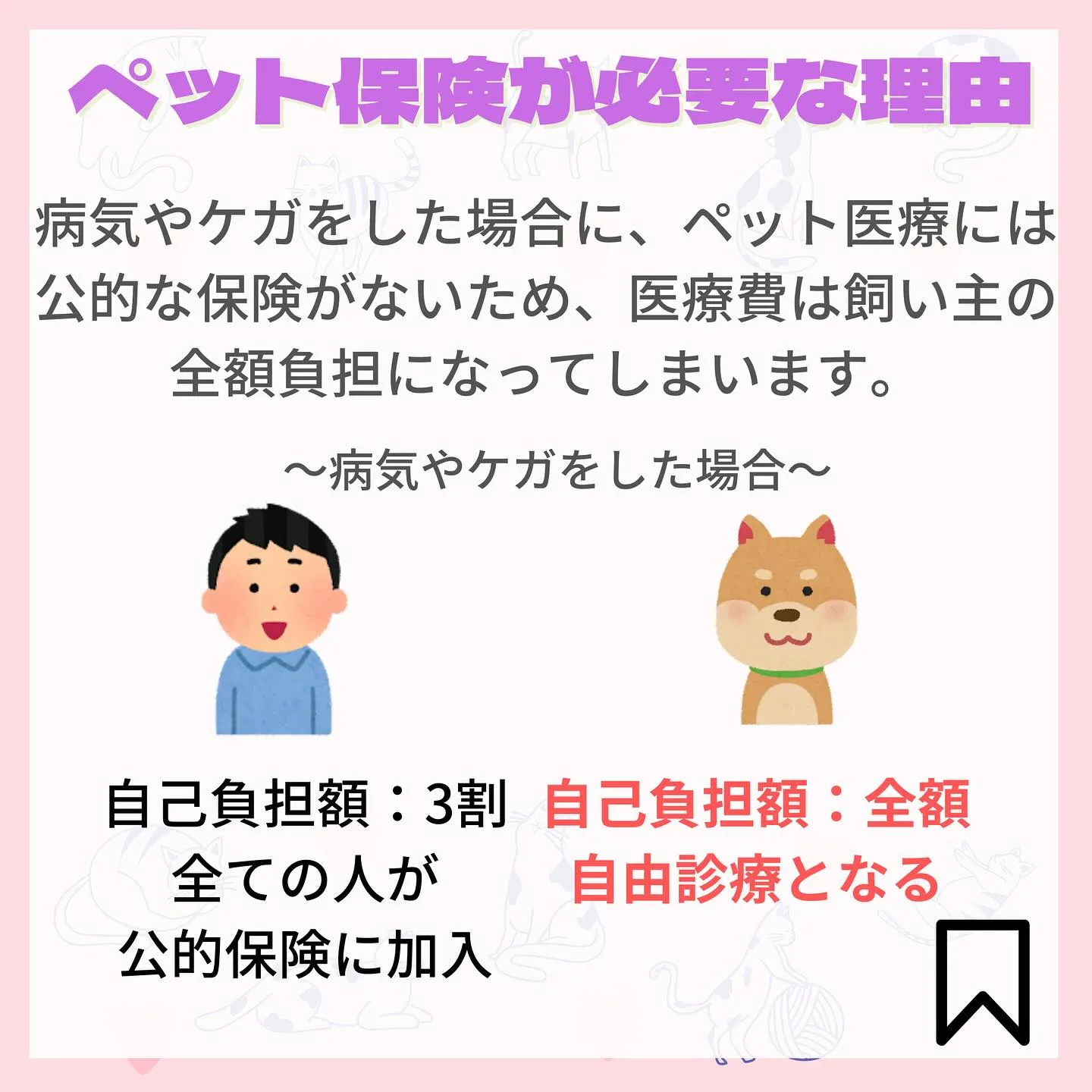 こんにちは、渡辺です🐈‍⬛