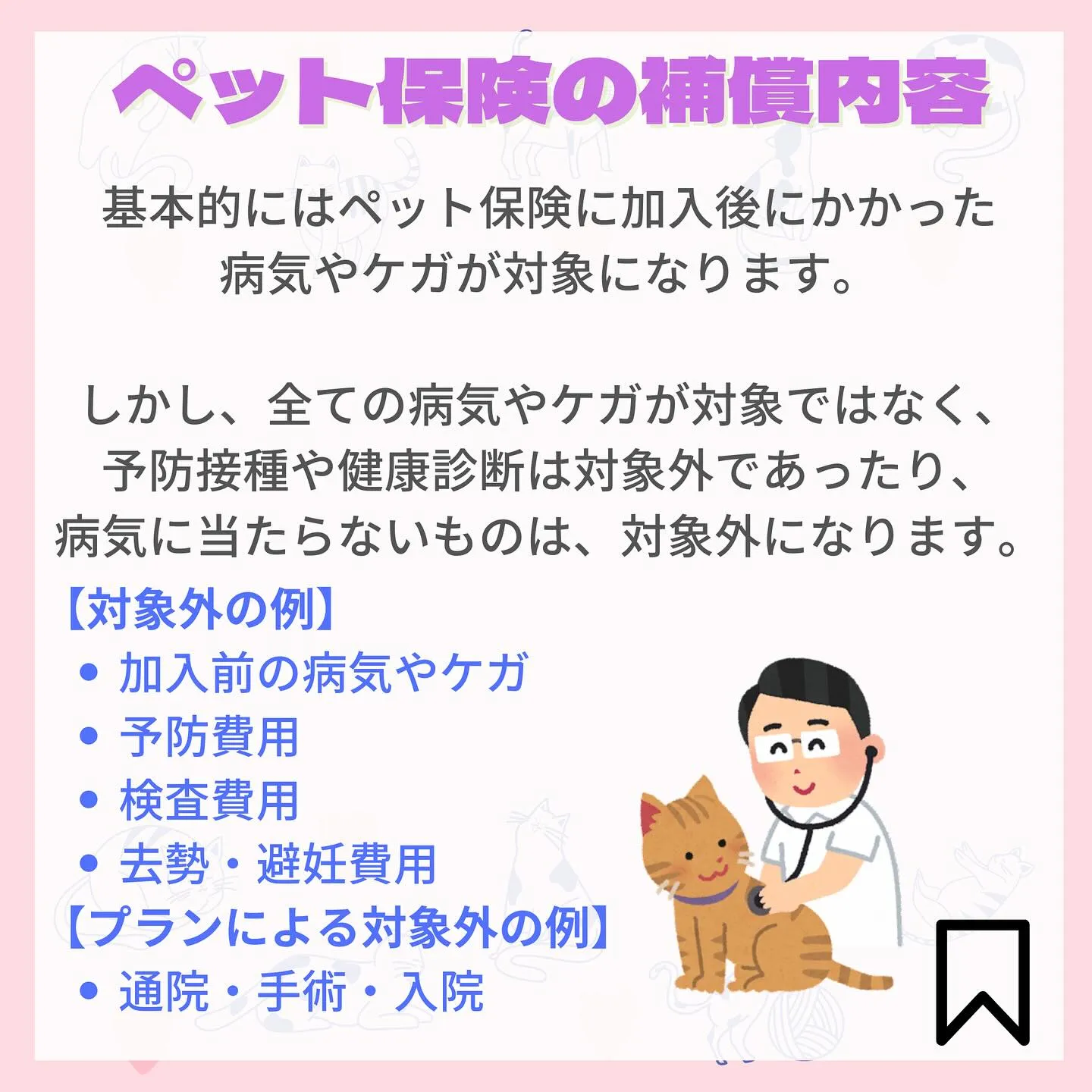 こんにちは、渡辺です🐈‍⬛