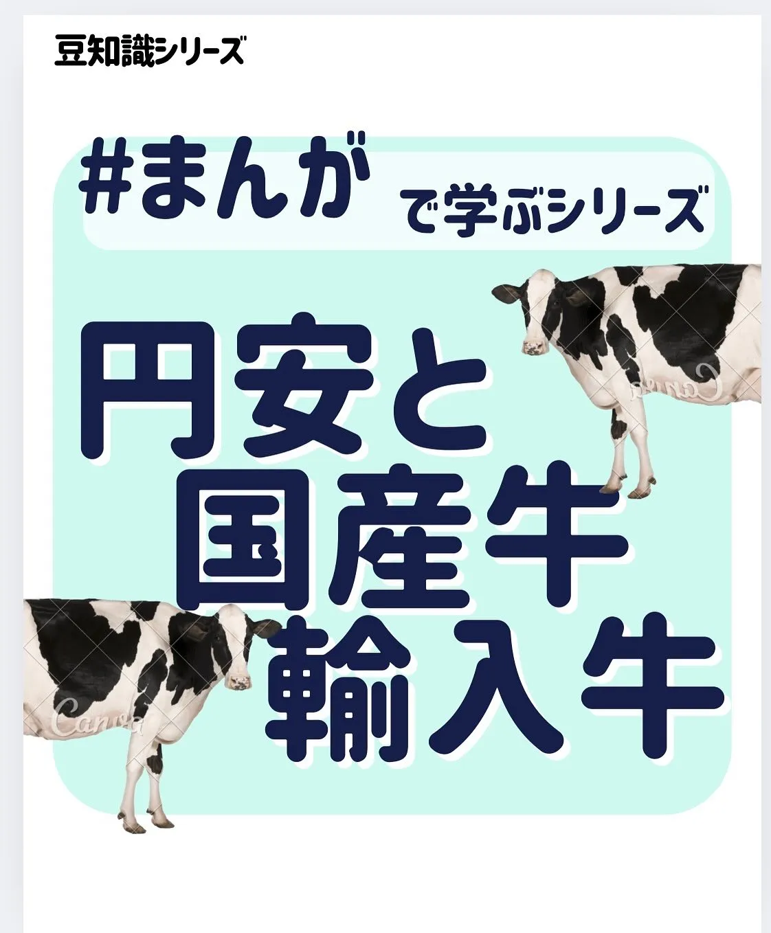 こんにちは、渡辺です☺️